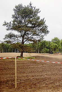 [Archerfield]