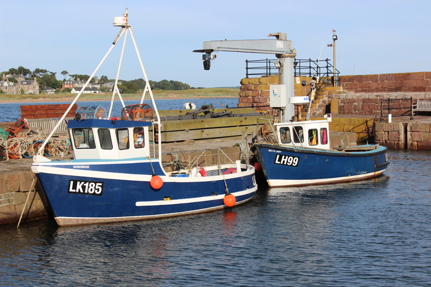 [Fishing Boats]