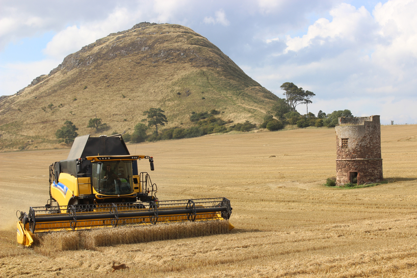 [Berwick Law]