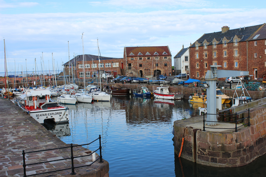 [Harbour]