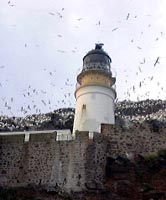 [Bass Rock
Lighthouse]